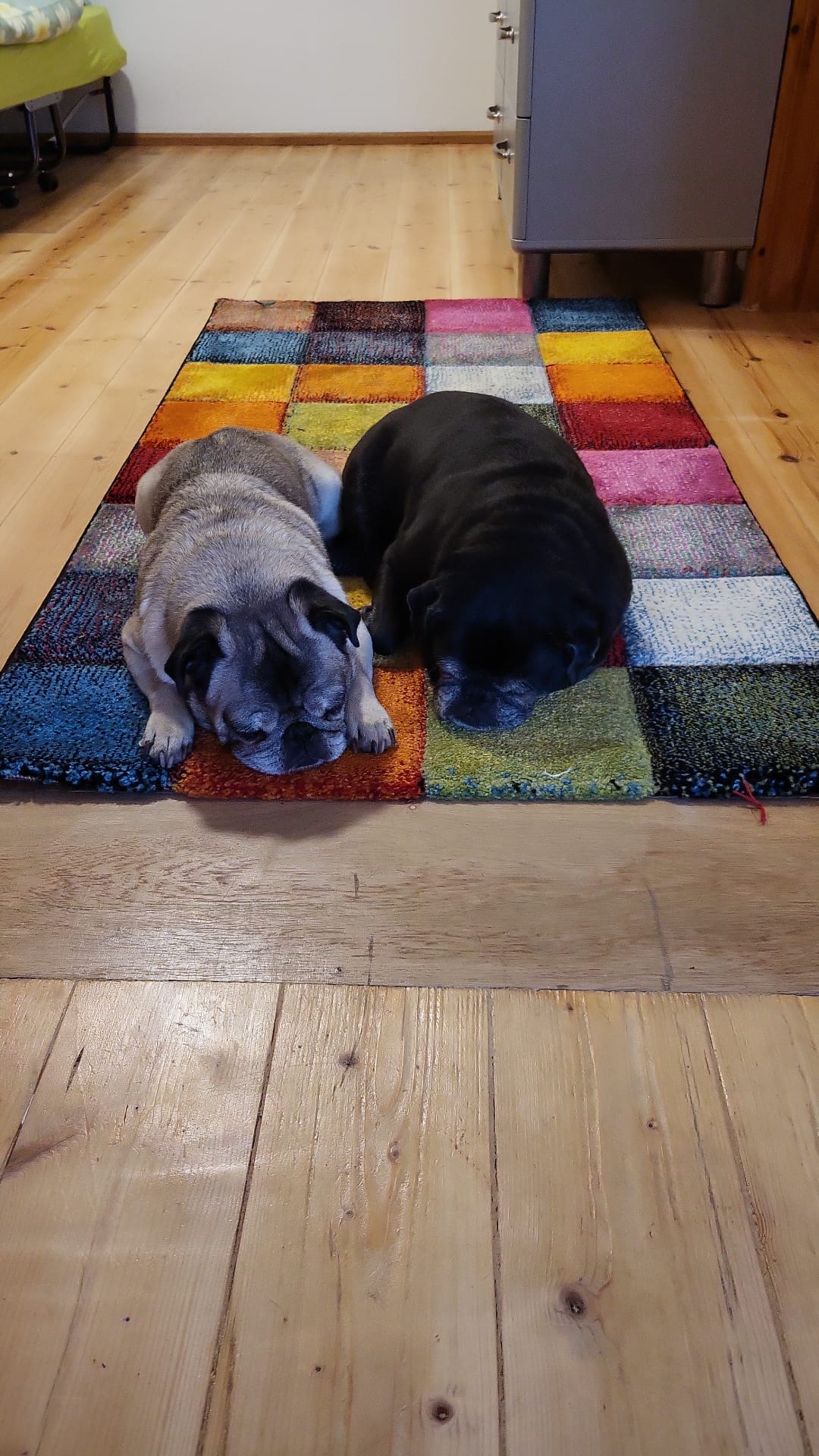 Bruno und Lilly